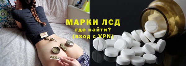 прущие грибы Армянск