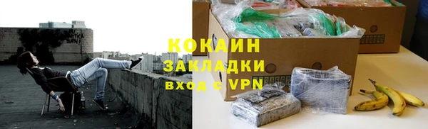 прущие грибы Армянск